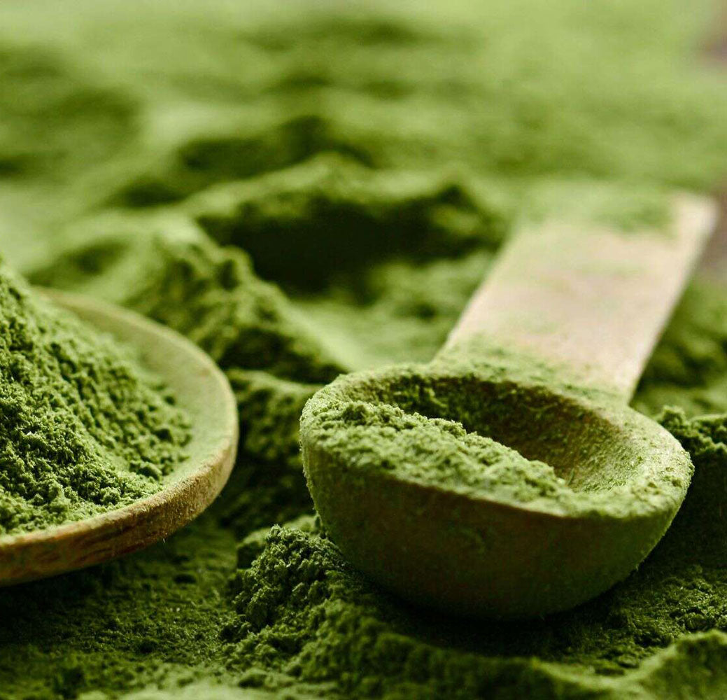 Organic Chlorella Powder (Broken-cell) - 5Kg Pack